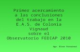 Primer acercamiento a las conclusiones del trabajo en la E.A.S. de Colonia Vignaud sobre el Observatorio FEDIAP 2010 Agr. Elver Ferraresi.