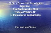 71.06 – Estructura Económica Argentina 1 er Cuatrimestre 2005 Trabajo Práctico N° 1: Indicadores Económicos Ing. Juan José Texidó.