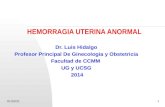 01/07/20151 HEMORRAGIA UTERINA ANORMAL Dr. Luis Hidalgo Profesor Principal De Ginecologia y Obstetricia Facultad de CCMM UG y UCSG 2014.
