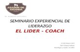 SEMINARIO EXPERIENCIAL DE LIDERAZGO EL LIDER - COACH 11 DE Mayo 2.015 Xavi Gámez Imbert Psicólogo y coach ( 21.087)