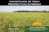 EXPORTACION DE TRIGO PERSPECTIVAS EXTERNAS Sonia TOMASSONE Asesor en Comercio Exterior – CAPECO stomassone@capeco.org.py Mayo 2015.
