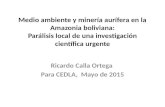Medio ambiente y minería aurífera en la Amazonia boliviana: Parálisis local de una investigación científica urgente Ricardo Calla Ortega Para CEDLA, Mayo.