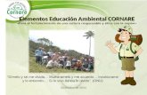 Elementos Educación Ambiental CORNARE « Elementos Educación Ambiental CORNARE « Para el fortalecimiento de una cultura responsable y ética con la región»