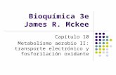 Bioquímica 3e James R. Mckee Capítulo 10 Metabolismo aerobio II: transporte electrónico y fosforilación oxidante.