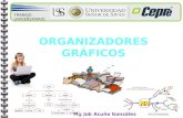 Mg Job Acuña Gonzáles TRABAJO UNIVERSITARIO. Organizadores gráficos. CAPACIDAD: : Organiza información haciendo uso de un software educativo. CAPACIDAD:
