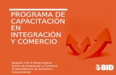 PROGRAMA DE CAPACITACIÓN EN INTEGRACIÓN Y COMERCIO Joaquim Tres & Álvaro García Sector de Integración y Comercio Vicepresidencia de Sectores y Conocimiento.