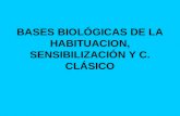 BASES BIOLÓGICAS DE LA HABITUACION, SENSIBILIZACIÓN Y C. CLÁSICO.