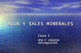 AGUA Y SALES MINERALES Clase 3 Ana C vallejo Galleguillos.