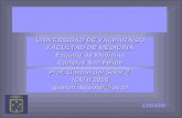 UNIVERSIDAD DE VALPARAÍSO FACULTAD DE MEDICINA Escuela de Medicina Campus San Felipe 12/03/08 Prof. Gastón del Solar Z. ICM II 2008 gaston.delsolar@uv.cl.