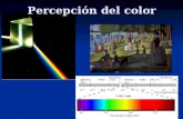 1 Percepción del color. 2 3 1) Descripción del color 2) Factores que intervienen 3) Teorías sobre la percepción del color 4) Visión en colores en los.