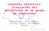 Caminata aleatoria: simulación del movimiento de un grupo de organismos Integrantes: Oliva Manuel, Vieytes Aldana, Wittemberg Melina.
