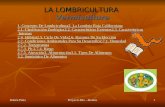 Rubén PintaProyecto BIo --Humus1 LA LOMBRICULTURA Vermiculture 1. Concepto De Lombricultura 2. La Lombriz Roja Californiana 2.1. Clasificaci ó n Zool ó.