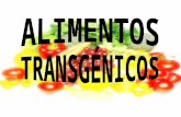 Índice z Índice  ¿ Qué son los alimentos transgénicos? zMétodos de obtención de los alimentos transgénicos zVentajas e inconvenientes de los alimentos.