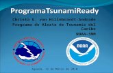 Christa G. von Hillebrandt-Andrade Programa de Alerta de Tsunamis del Caribe NOAA-SNM Aguada, 12 de Marzo de 2010.