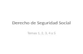Derecho de Seguridad Social Temas 1, 2, 3, 4 y 5.