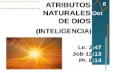 ATRIBUTOS NATURALES DE DIOS Lc. 2:47 Job 12:13 Pr. 8:14 6 Oct (INTELIGENCIA)