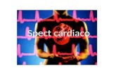 Spect cardiaco. Perfusión Miocárdica SPECT Reposo/esfuerzo Indicaciones: 1. Diagnóstico de isquemia miocárdica crónica. 2. Diagnostico de infarto al miocardio...