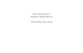 Guía Anatomía 2 Aparato Reproductor (Actividad con nota)