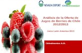 1 Chilealimentos A.G. Análisis de la Oferta de Jugos de Berries de Chile 2012/2013 Juice Latin America 2013.