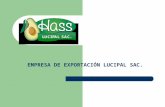 EMPRESA DE EXPORTACIÓN LUCIPAL SAC.. Resumen Ejecutivo Lucipal S.A.C es una empresa dedicada a la comercialización y exportación de Palta de la variedad.
