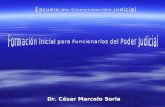 Dr. César Marcelo Soria. JUICIO COMUN ACTOS PRELIMINARES DEBATE SENTENCIA 1.