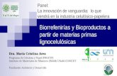 Biorrefenirías y Bioproductos a partir de materias primas lignocelulósicas Dra. María Cristina Area Programa de Celulosa y Papel (PROCYP) Instituto de.