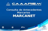 Consulta de Antecedentes Marcarios MARCANET. Ingresar a la pagina del IMPI (