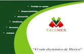 “El vale electrónico de México”  Innovación  Confianza  Calidad  Trabajo en equipo  Seriedad  Responsabilidad.