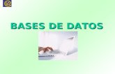 BASES DE DATOS. INDICE Introducción Definición de base de datos Conceptos básicos Sistema de Gestión de Base de Datos (SGBD) Conclusiones.