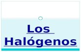 Los Halógenos. Elementos que pertenecen a este grupo Halógenos: en griego, “formadores de sales”. Los Halógenos se encuentran situados en el grupo 17.