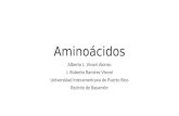 Aminoácidos Alberto L. Vivoni Alonso J. Roberto Ramírez Vivoni Universidad Interamericana de Puerto Rico Recinto de Bayamón.