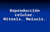 Reproducción celular. Mitosis. Meiosis.. Los seres vivos pueden reproducirse de dos maneras: ASEXUAL Denominada también reproducción vegetativa Un solo.