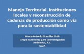 Manejo Territorial, instituciones locales y reconstrucción de cadenas de producción como via para la sustentabilidad Marco Antonio González Ortiz Grupo.