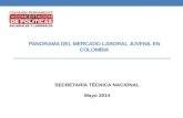 PANORAMA DEL MERCADO LABORAL JUVENIL EN COLOMBIA SECRETARÍA TÉCNICA NACIONAL Mayo 2014.