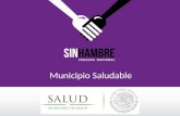Municipio Saludable. Estrategia transversal e integral Comisión Intersecretarial Participan 19 entidades públicas SENER SEDATU SEMARNAT SRE SHCP SEMAR.