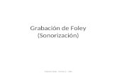 Grabación de Foley (Sonorización) Cátedra Seba - Sonido 1 - UBA.