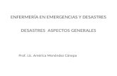 ENFERMERÍA EN EMERGENCIAS Y DESASTRES DESASTRES ASPECTOS GENERALES Prof. Lic. América Menéndez Cánepa.