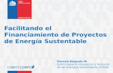 Facilitando el Financiamiento de Proyectos de Energía Sustentable Pamela Delgado M. Centro para la Innovación y Fomento de las Energías Sustentables (CIFES)