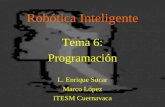Robótica Inteligente Tema 6: Programación L. Enrique Sucar Marco López ITESM Cuernavaca.