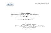 * SpeedyNet Interconexión de redes privadas de clientes Para : Dn Jorge Aguilera Sub Gerencia Banda Ancha Jorge Conoman Herrrera Ejecutivo Comercial Empresas.