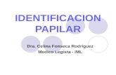 IDENTIFICACION PAPILAR Dra. Celina Fonseca Rodríguez Medico Legista - IML.
