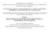 REPÚBLICA DE PANAMA MINISTERIO DE SALUD INSTITUTO CONMEMORATIVO GORGAS DE ESTUDIOS DE LA SALUD TALLER VIGILANCIA Y CONTENCIÓN DE LA GRIPE AVIAR PARA EPIDEMIOLOGOS.