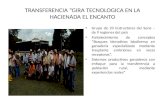 TRANSFERENCIA “GIRA TECNOLOGICA EN LA HACIENADA EL ENCANTO Grupo de 23 instructores del Sena – de 9 regiones del país Fortalecimiento de conceptos “Bosques.