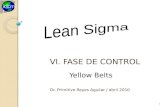I.VI. FASE DE CONTROL Dr. Primitivo Reyes Aguilar / abril 2010 1 Yellow Belts.