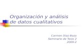 Organización y análisis de datos cualitativos Carmen Diaz Bazo Seminario de Tesis 2 2009-2.