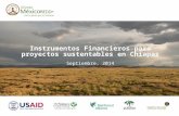 Instrumentos Financieros para proyectos sustentables en Chiapas Septiembre, 2014.