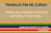 TRABAJO FIN DE CURSO TIERRA DE CAMPOS: ESPACIO NATURAL Y CULTURAL MARIANO GONZÁLEZ GARCÍA 12392082G.