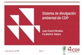 Www.cdp.net | @CDP Page 1 Sistema de divulgación ambiental de CDP Juan David Morales Fundación Natura.