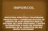 INDUSTRIA PORCICOLA COLOMBIANA PRODUCCIÓN Y COMERCIALIZACIÓN DE CERDOS DE ALTA GENÉTICA BAJO EL SISTEMA DE CAMA PROFUNDA Y DIETAS ALTERNATIVAS A BASE DE.