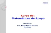 Curso de: Matemáticas de Apoyo 1 Instructor: Dra. María Esther Treviño Martínez.